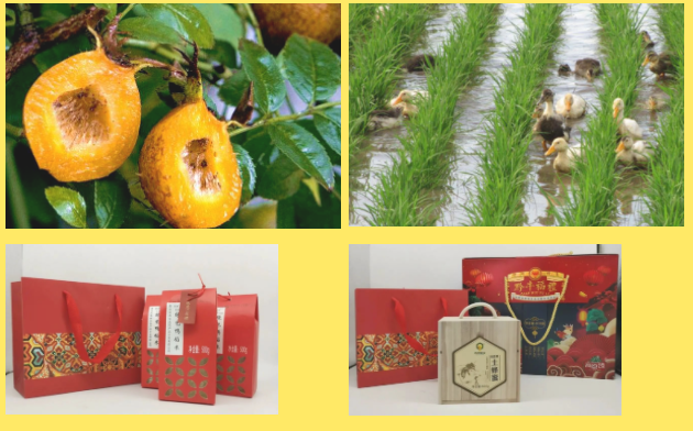 1651127152328337.png 120.png