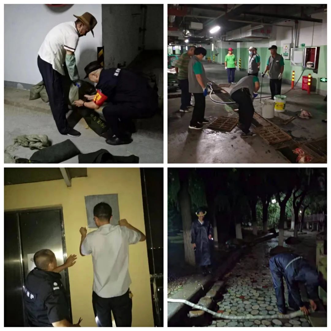 1651131030199447.jpg 1651131030199447.jpg