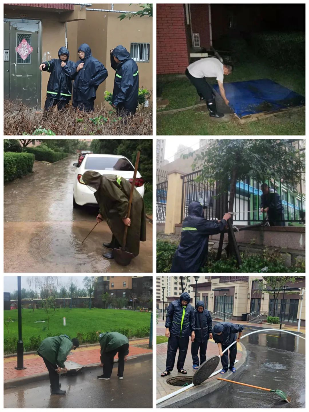 1651131048850451.jpg 1651131048850451.jpg