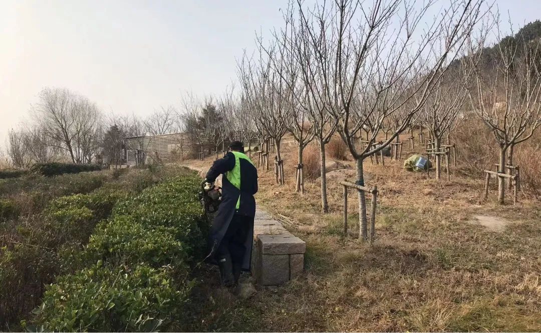 1651218806607130.jpg 95.jpg