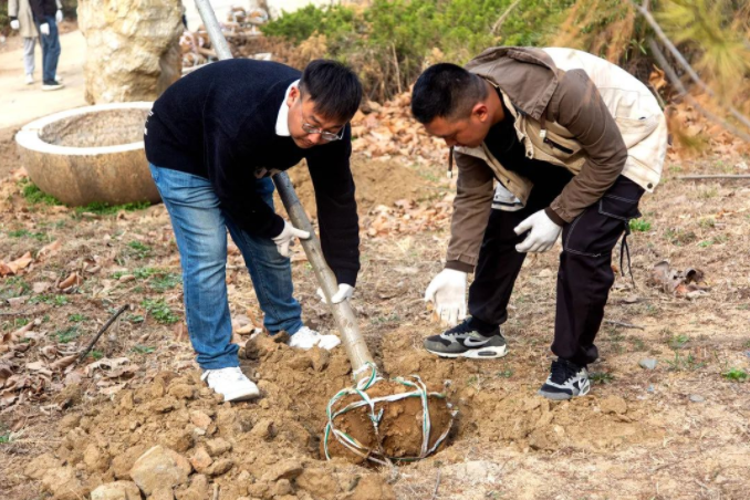 春風十里,植下一片綠 | 瑞源控股集團開展2023年植樹節系列活動 春風十里,植下一片綠 | 瑞源控股集團開展2023年植樹節系列活動
