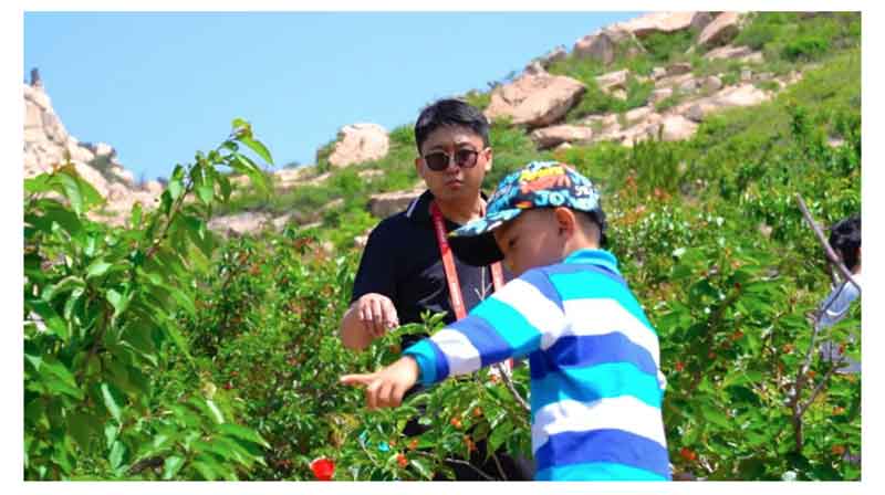 以節會友 赴一場櫻桃的盛宴